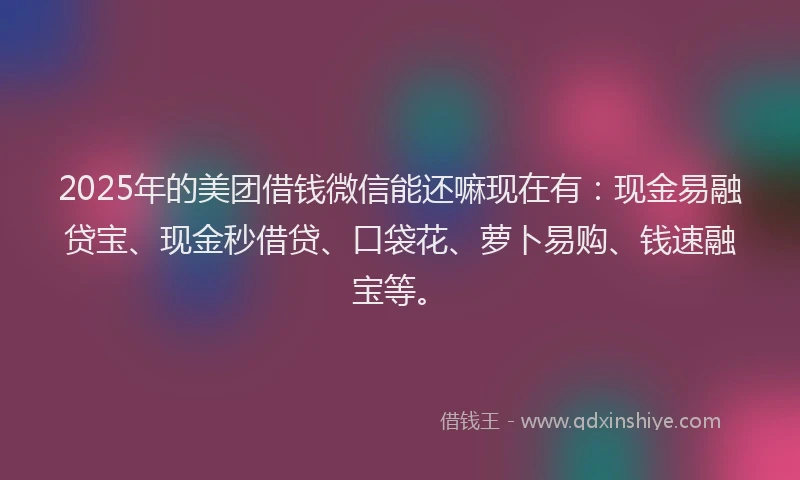 2025年的美团借钱微信能还嘛现在有：现金易融贷宝、现金秒借贷、口袋花、萝卜易购、钱速融宝等。