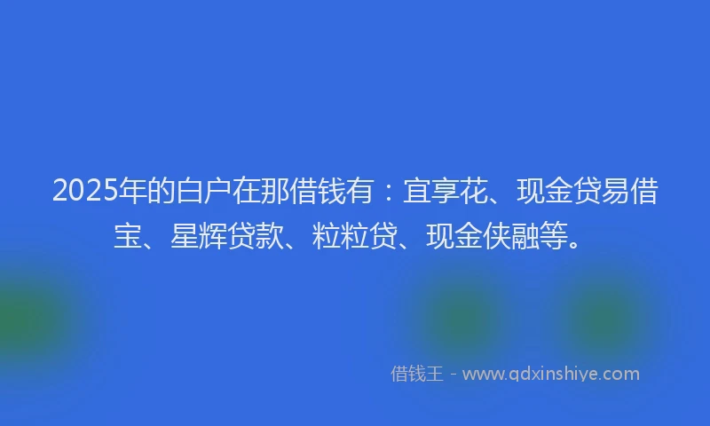 2025年的白户在那借钱有：宜享花、现金贷易借宝、星辉贷款、粒粒贷、现金侠融等。
