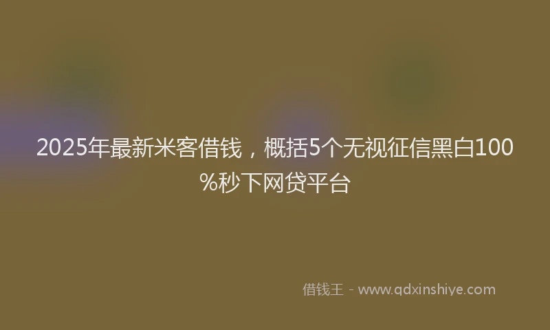 2025年最新米客借钱，概括5个无视征信黑白100%秒下网贷平台