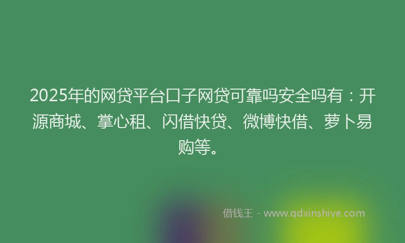 2025年的网贷平台口子网贷可靠吗安全吗有：开源商城、掌心租、闪借快贷、微博快借、萝卜易购等。