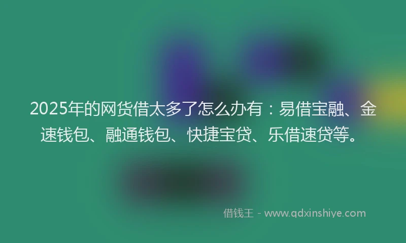 2025年的网货借太多了怎么办有：易借宝融、金速钱包、融通钱包、快捷宝贷、乐借速贷等。