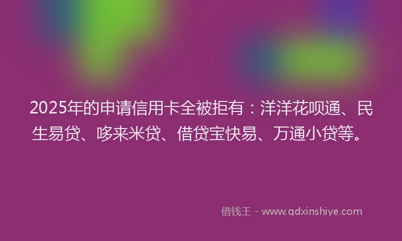 2025年的申请信用卡全被拒有：洋洋花呗通、民生易贷、哆来米贷、借贷宝快易、万通小贷等。