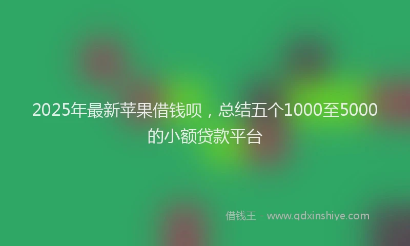 2025年最新苹果借钱呗，总结五个1000至5000的小额贷款平台