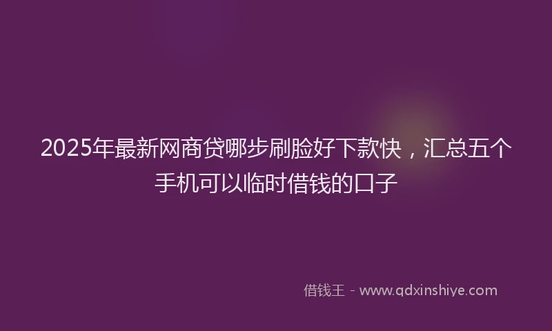 2025年最新网商贷哪步刷脸好下款快，汇总五个手机可以临时借钱的口子