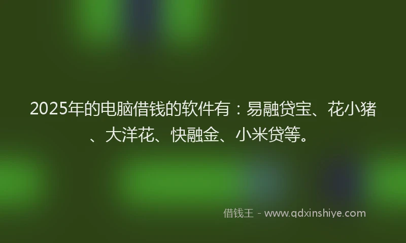 2025年的电脑借钱的软件有：易融贷宝、花小猪、大洋花、快融金、小米贷等。