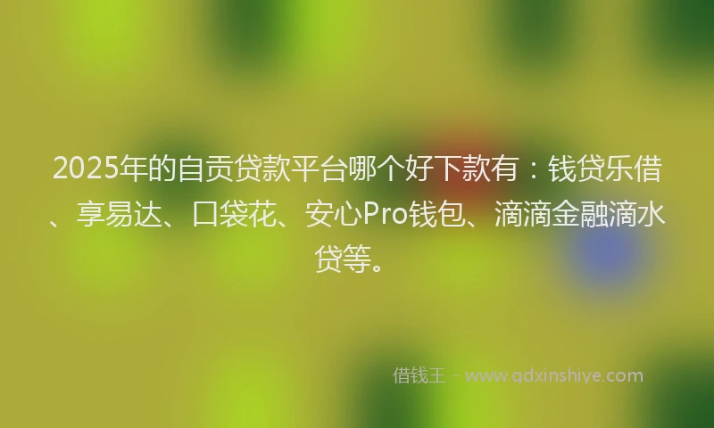 2025年的自贡贷款平台哪个好下款有：钱贷乐借、享易达、口袋花、安心Pro钱包、滴滴金融滴水贷等。