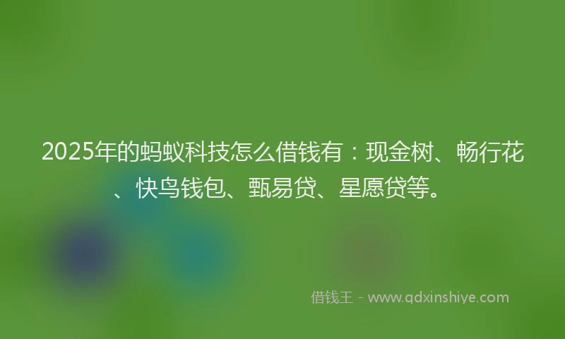 2025年的蚂蚁科技怎么借钱有：现金树、畅行花、快鸟钱包、甄易贷、星愿贷等。