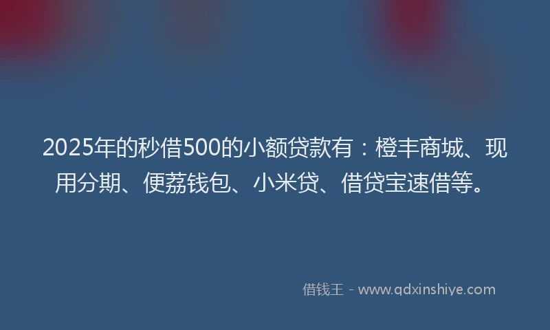 2025年的秒借500的小额贷款有：橙丰商城、现用分期、便荔钱包、小米贷、借贷宝速借等。