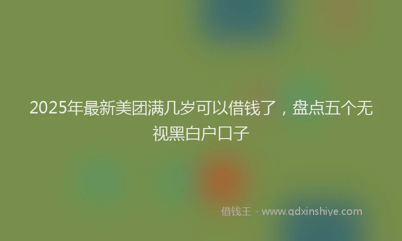 2025年最新美团满几岁可以借钱了，盘点五个无视黑白户口子