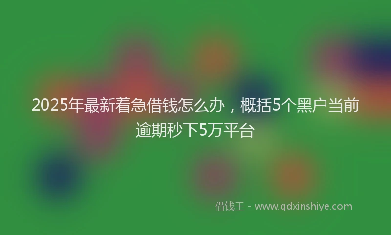 2025年最新着急借钱怎么办，概括5个黑户当前逾期秒下5万平台