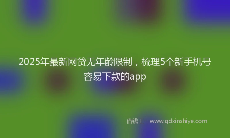2025年最新网贷无年龄限制，梳理5个新手机号容易下款的app