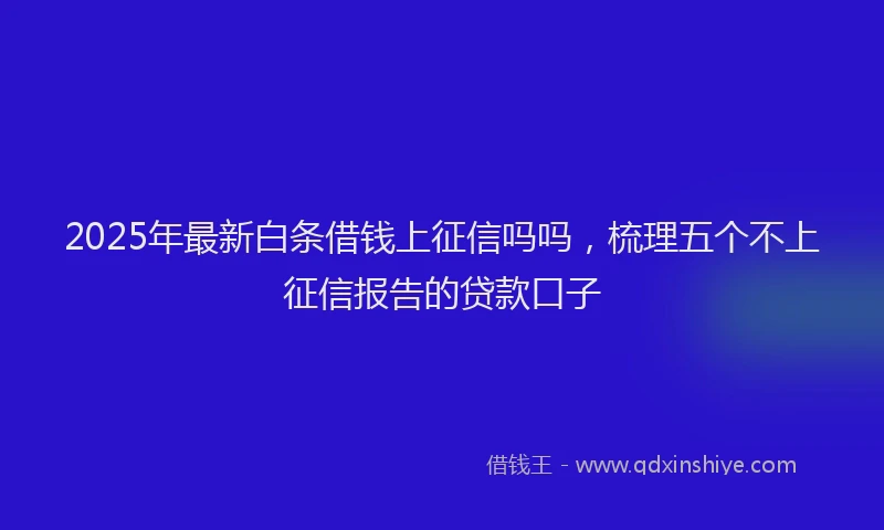 2025年最新白条借钱上征信吗吗，梳理五个不上征信报告的贷款口子