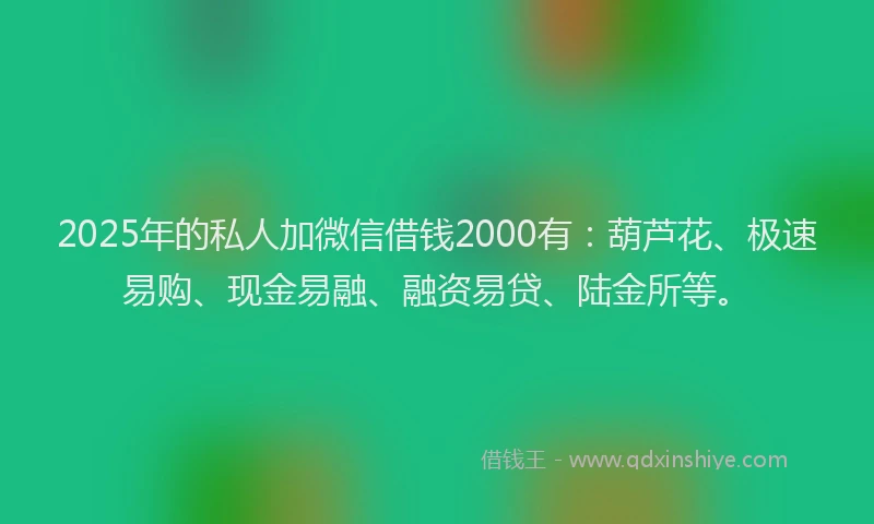 2025年的私人加微信借钱2000有:葫芦花、极速易购、现金易融、融资易贷、陆金所等。