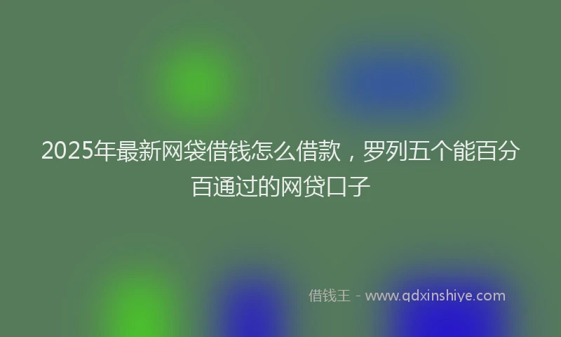 2025年最新网袋借钱怎么借款，罗列五个能百分百通过的网贷口子