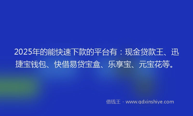 2025年的能快速下款的平台有：现金贷款王、迅捷宝钱包、快借易贷宝盒、乐享宝、元宝花等。
