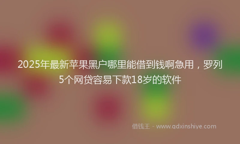 2025年最新苹果黑户哪里能借到钱啊急用，罗列5个网贷容易下款18岁的软件