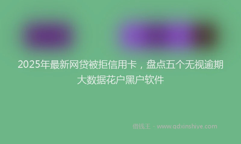 2025年最新网贷被拒信用卡，盘点五个无视逾期大数据花户黑户软件