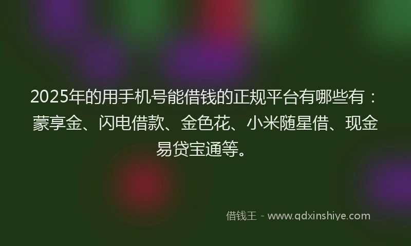 2025年的用手机号能借钱的正规平台有哪些有：蒙享金、闪电借款、金色花、小米随星借、现金易贷宝通等。