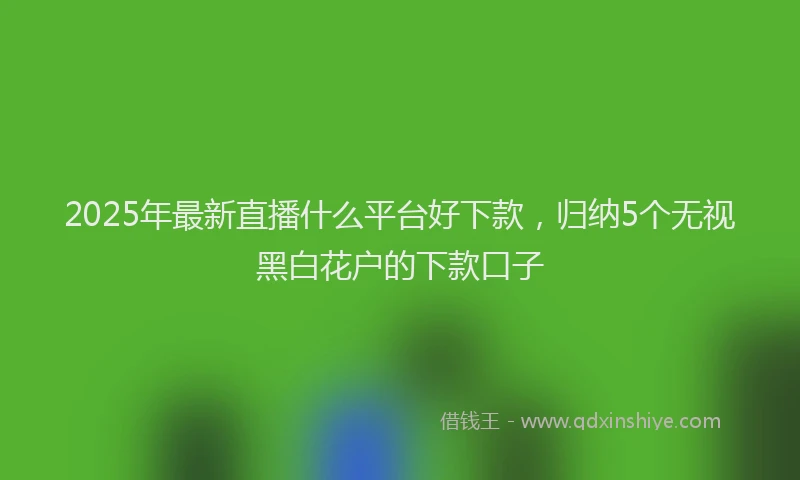 2025年最新直播什么平台好下款，归纳5个无视黑白花户的下款口子