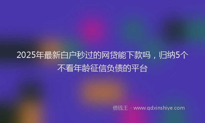 2025年最新白户秒过的网贷能下款吗，归纳5个不看年龄征信负债的平台