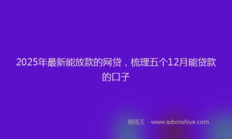 2025年最新能放款的网贷，梳理五个12月能贷款的口子