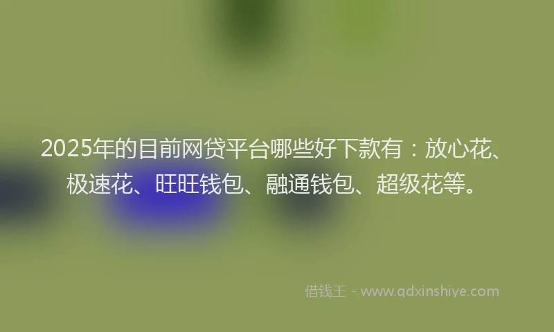 2025年的目前网贷平台哪些好下款有：放心花、极速花、旺旺钱包、融通钱包、超级花等。