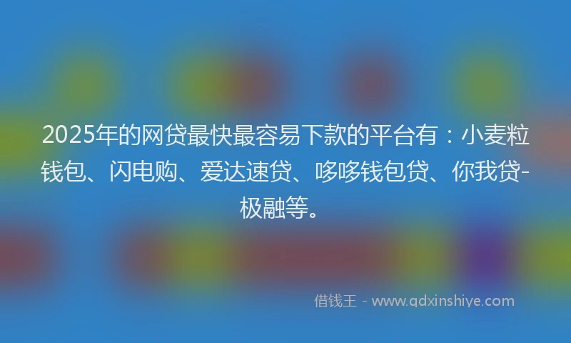 2025年的网贷最快最容易下款的平台有：小麦粒钱包、闪电购、爱达速贷、哆哆钱包贷、你我贷-极融等。