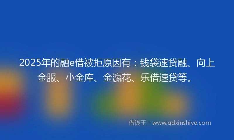 2025年的融e借被拒原因有：钱袋速贷融、向上金服、小金库、金瀛花、乐借速贷等。