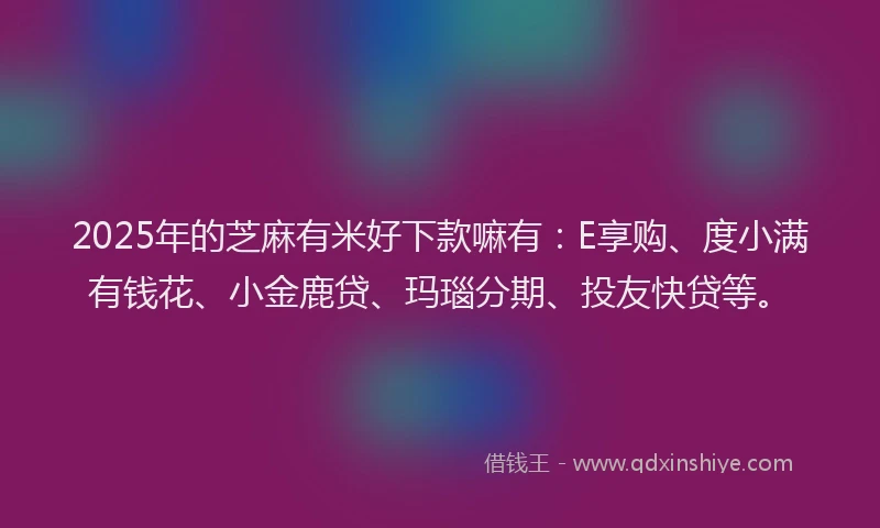 2025年的芝麻有米好下款嘛有：E享购、度小满有钱花、小金鹿贷、玛瑙分期、投友快贷等。