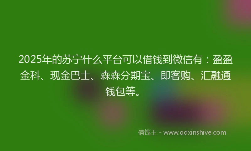 2025年的苏宁什么平台可以借钱到微信有：盈盈金科、现金巴士、森森分期宝、即客购、汇融通钱包等。