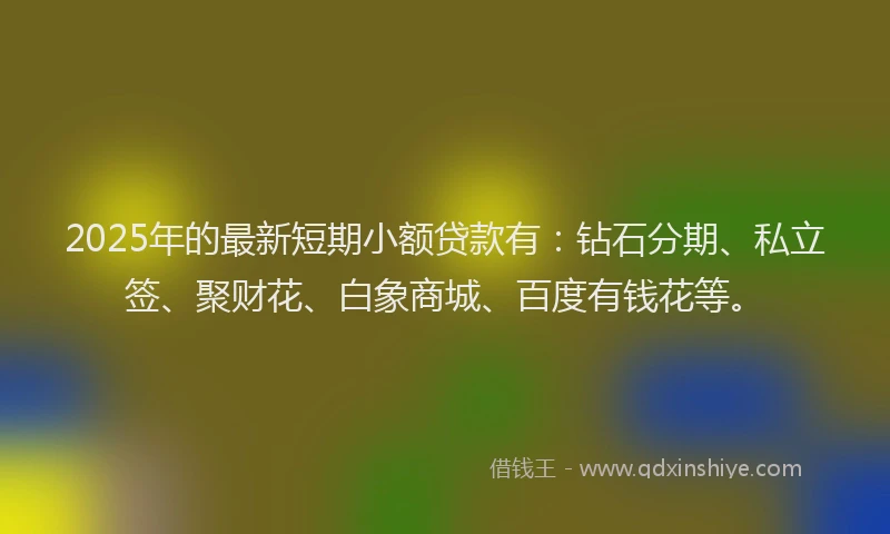 2025年的最新短期小额贷款有：钻石分期、私立签、聚财花、白象商城、百度有钱花等。