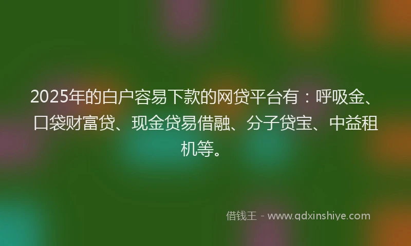 2025年的白户容易下款的网贷平台有：呼吸金、口袋财富贷、现金贷易借融、分子贷宝、中益租机等。
