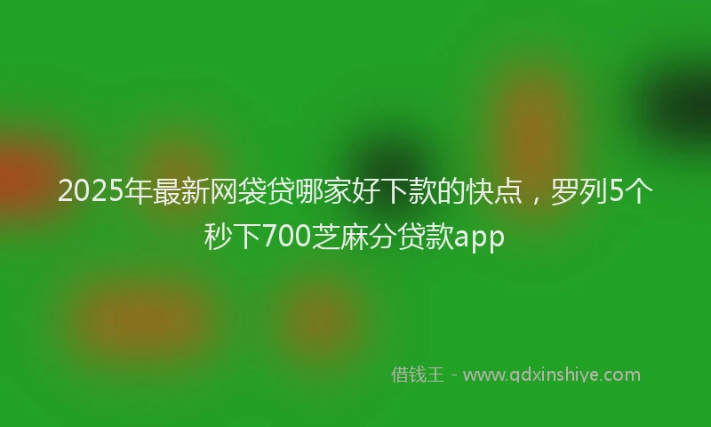 2025年最新网袋贷哪家好下款的快点，罗列5个秒下700芝麻分贷款app
