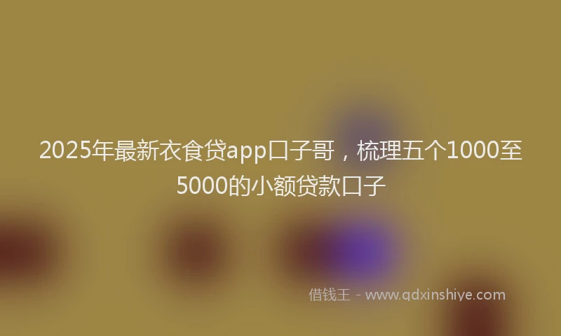 2025年最新衣食贷app口子哥，梳理五个1000至5000的小额贷款口子