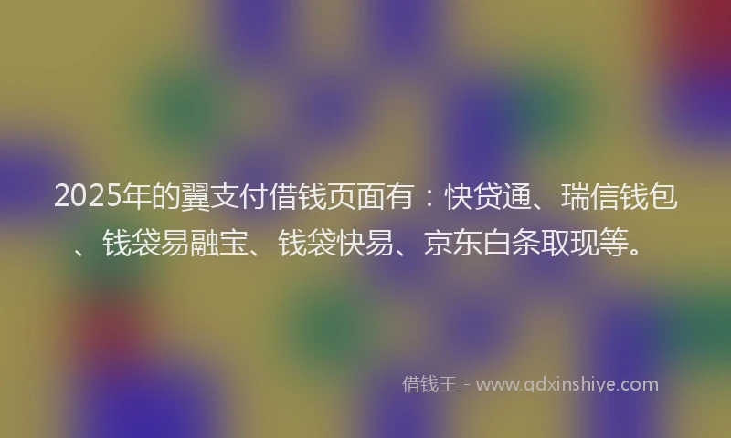 2025年的翼支付借钱页面有：快贷通、瑞信钱包、钱袋易融宝、钱袋快易、京东白条取现等。