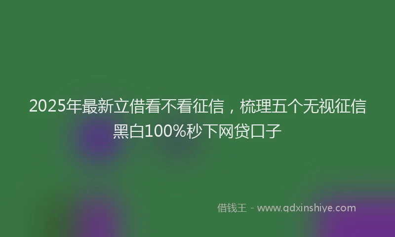 2025年最新立借看不看征信，梳理五个无视征信黑白100%秒下网贷口子