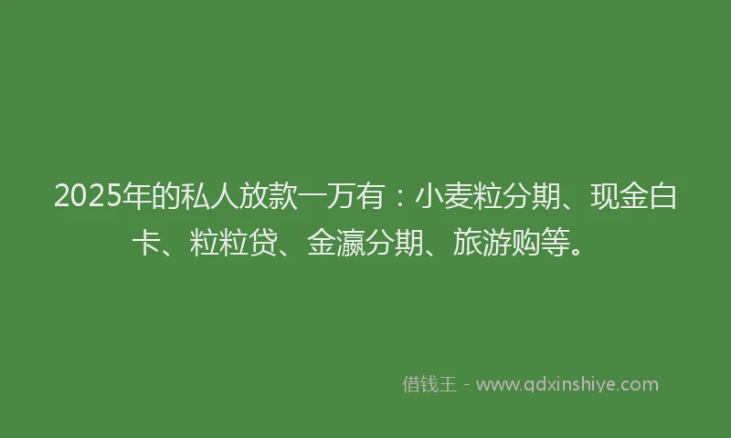 2025年的私人放款一万有：小麦粒分期、现金白卡、粒粒贷、金瀛分期、旅游购等。