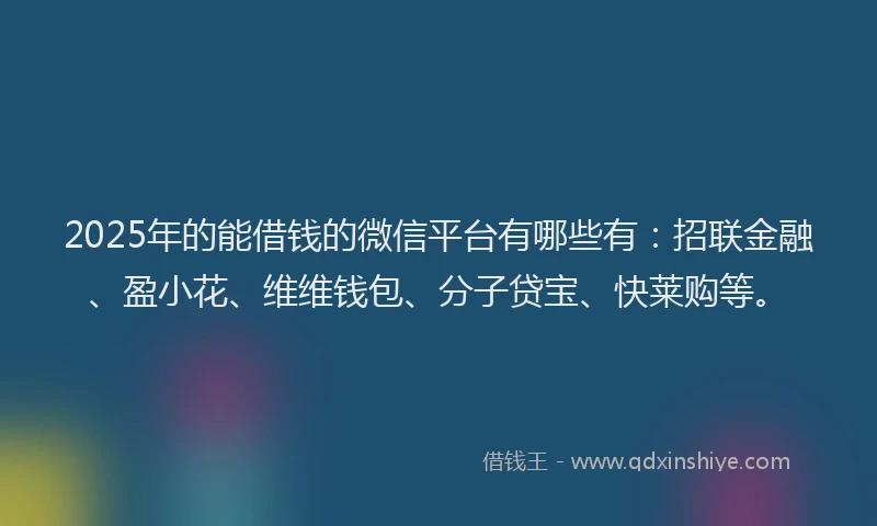 2025年的能借钱的微信平台有哪些有：招联金融、盈小花、维维钱包、分子贷宝、快莱购等。
