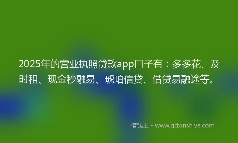 2025年的营业执照贷款app口子有：多多花、及时租、现金秒融易、琥珀信贷、借贷易融途等。