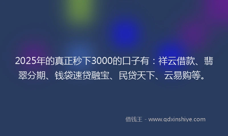 2025年的真正秒下3000的口子有：祥云借款、翡翠分期、钱袋速贷融宝、民贷天下、云易购等。