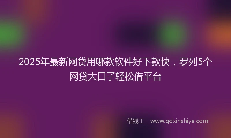 2025年最新网贷用哪款软件好下款快，罗列5个网贷大口子轻松借平台