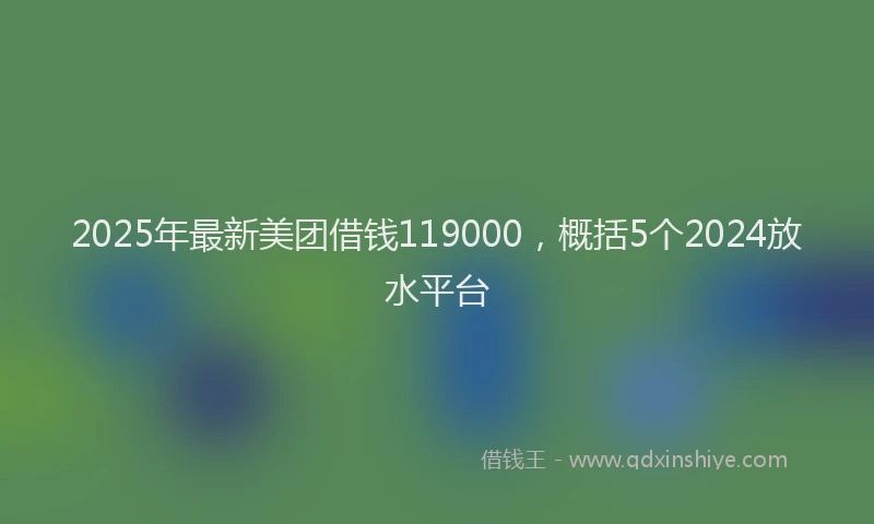 2025年最新美团借钱119000，概括5个2024放水平台