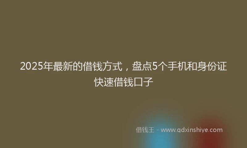 2025年最新的借钱方式，盘点5个手机和身份证快速借钱口子