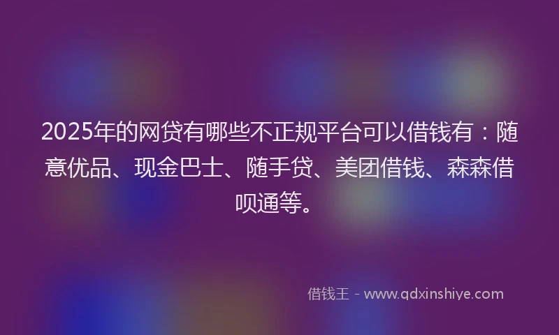 2025年的网贷有哪些不正规平台可以借钱有：随意优品、现金巴士、随手贷、美团借钱、森森借呗通等。