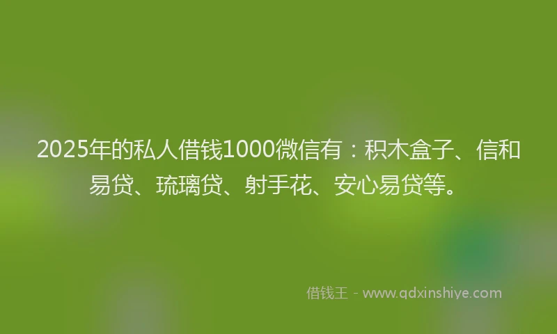 2025年的私人借钱1000微信有：积木盒子、信和易贷、琉璃贷、射手花、安心易贷等。