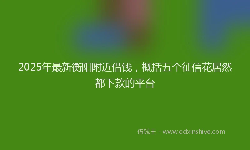 2025年最新衡阳附近借钱，概括五个征信花居然都下款的平台