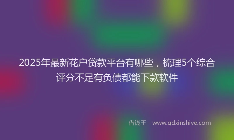 2025年最新花户贷款平台有哪些，梳理5个综合评分不足有负债都能下款软件