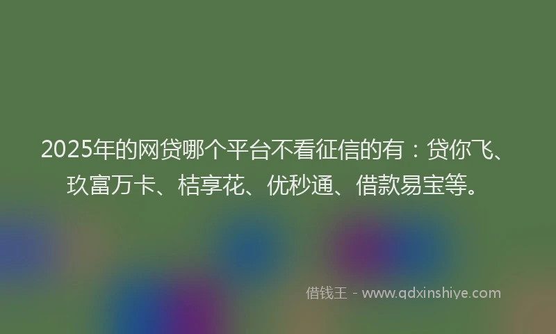 2025年的网贷哪个平台不看征信的有：贷你飞、玖富万卡、桔享花、优秒通、借款易宝等。