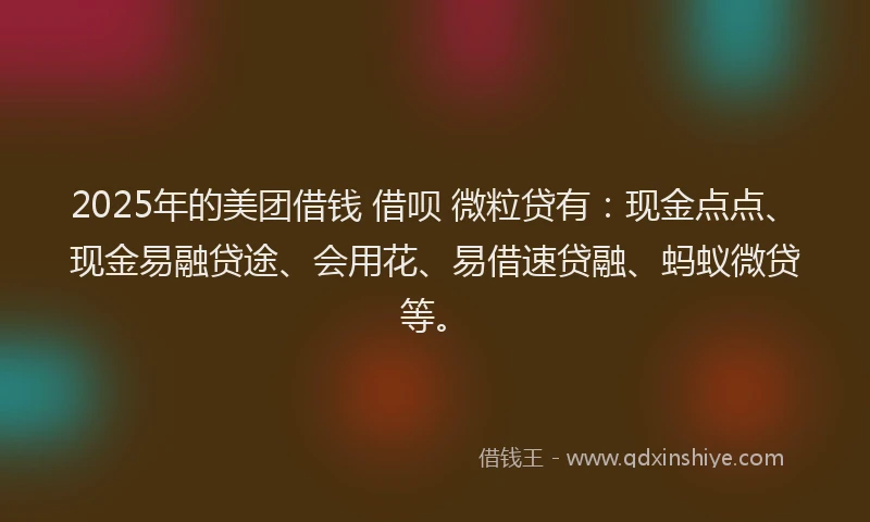 2025年的美团借钱 借呗 微粒贷有：现金点点、现金易融贷途、会用花、易借速贷融、蚂蚁微贷等。
