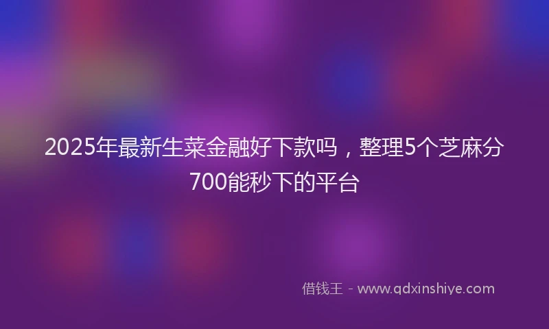 2025年最新生菜金融好下款吗，整理5个芝麻分700能秒下的平台